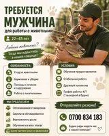 МЫ ищем сотрудников в команду «ЗООБИШКЕК»