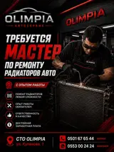Мастер по ремонту автомобильных радиаторов