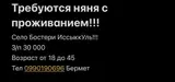Няня