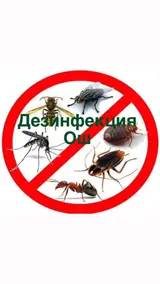 Дезинфекция, дезинсекция