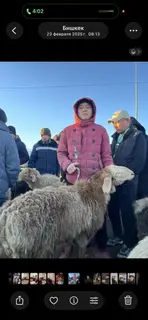 Скотник