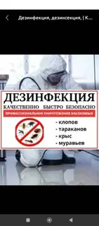 Профессиональная дезинфекция и дезинсекция