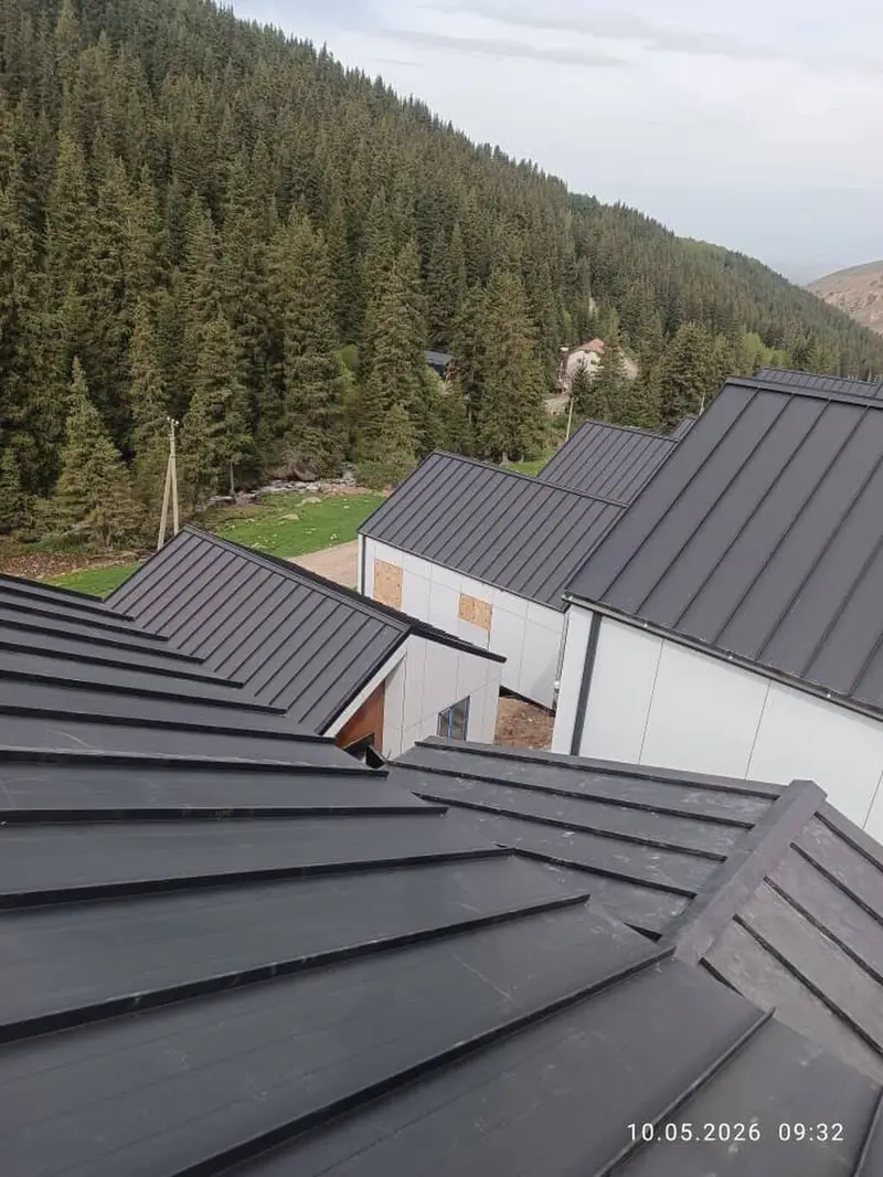 Кыршанын баардык түрүн жабабыз келишим баада ( сайник слив дагы — фото 6