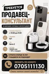 Продавец-консультант