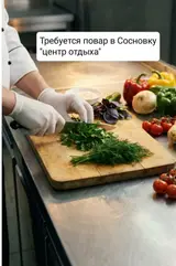 Повар в «Центр отдыха Салкын Сай», Сосновка