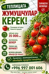 Сборщик урожая