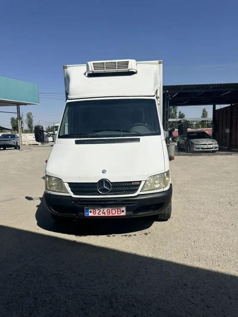 Mercedes-Benz Sprinter (кузов-фургон) 2.2 cdi 313 термо бутка балы — фото 5