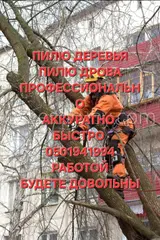 Профессиональные услуги по спилу деревьев и распиловке дров.