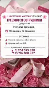 Сотрудник (продажи и торговля)