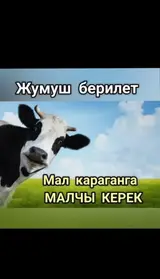 Предлагается вакансия пастуха для выпаса скота