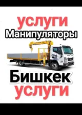 Стрела 10 м, 3 т, Борт 6500 кг