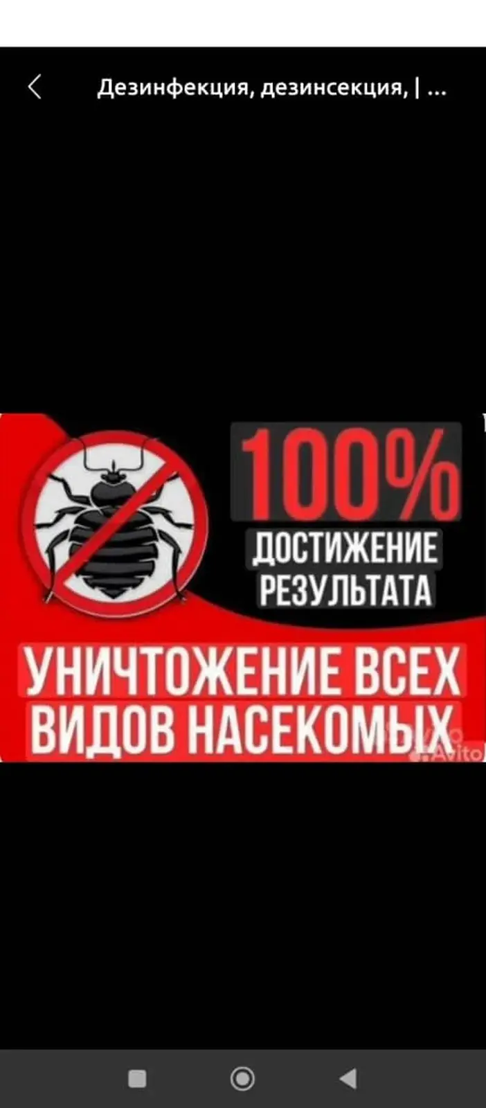 Профессиональная дезинфекция и дезинсекция — фото 2