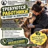 Сотрудники по уходу за животными