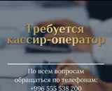 Продавец-консультант
