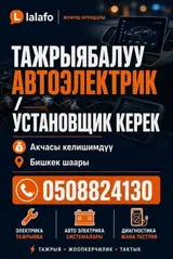 Автоэлектрик/установщик
