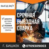 Сврака на выезд
