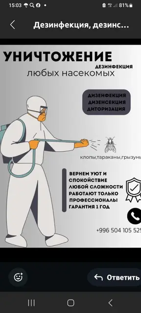 Дезинфекция, дезинсекция