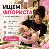 Оформитель