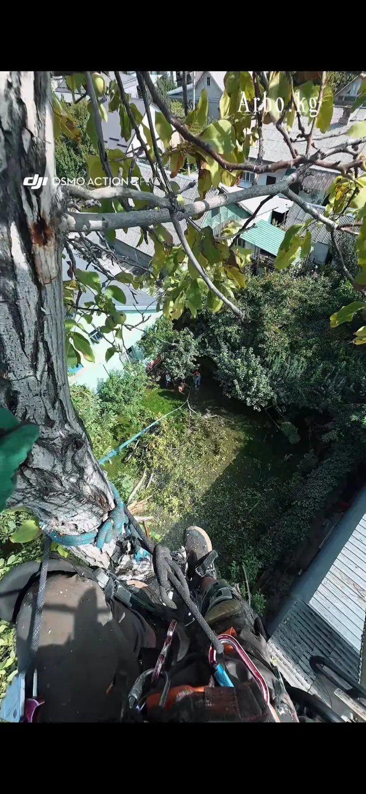 ✅ Спил деревьев, удаление . Безопасно и быстро! 🌳 Профессиональные — фото 5