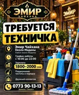 Техничка в «Эмир Чайхана»