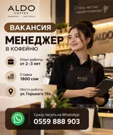 Администратор (кофейня)
