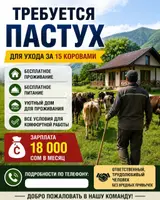 Пастух