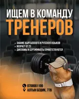 Тренер