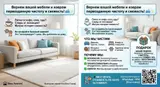 Химчистка мебели