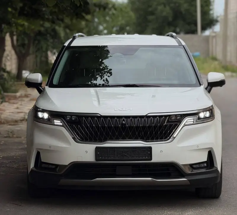 Сдаю Kia Carnival, Посуточно, Без водителя — фото 2