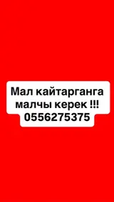Пастух
