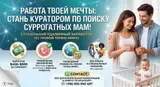 Куратор / Агент по поиску суррогатных мам (Удаленно)