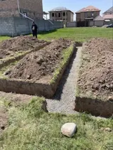 Больше 6 лет опыта