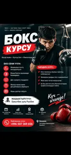 Курс бокса Что это