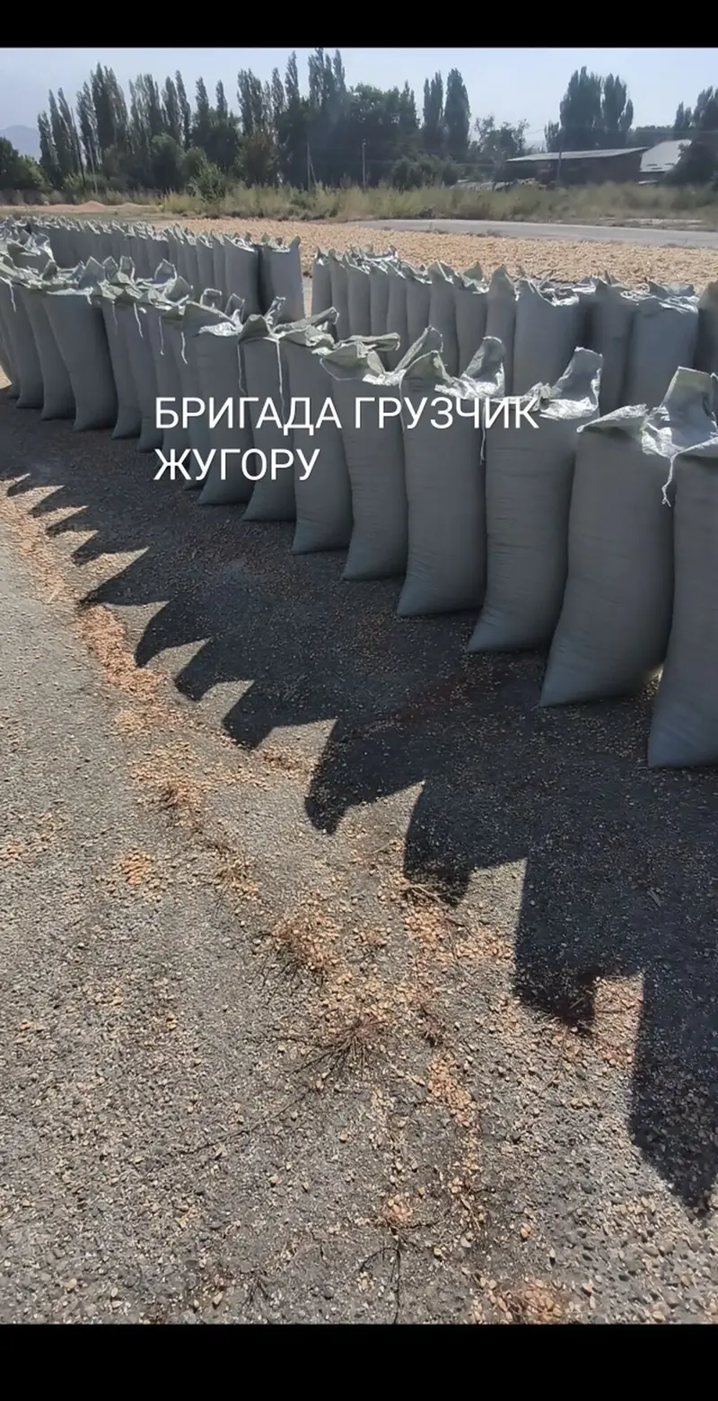 Ассалому Алейкум ЖУГОРУ МУШОКТОП ЖУКТОЙБУЗ 30тоннадан Жогору Бишкек — фото 2