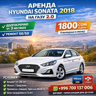 ✅Основные условия сотрудничества: Авто сдаются на долгий срок. От 3х