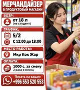 Мерчендайзер