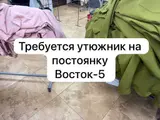 Гладильщик