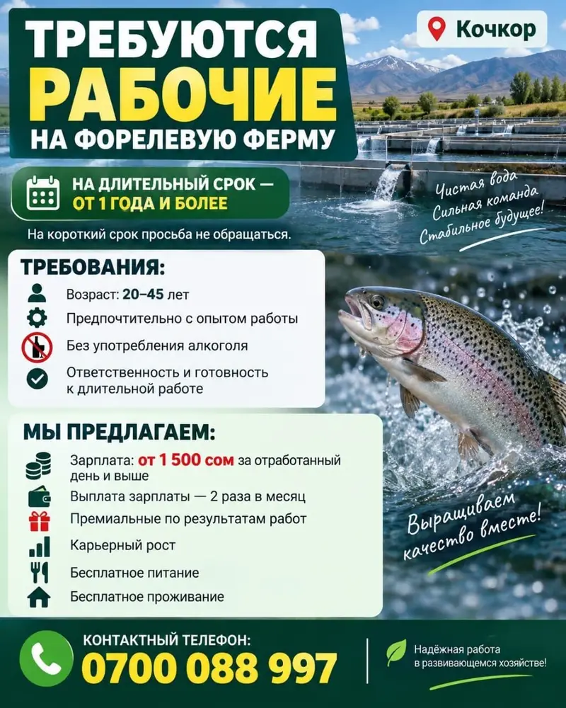 Рабочие на ферму по разведению форели в Кочкор на длительное — фото 3