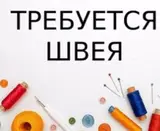 Швеи
