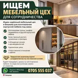 Мебельщик (покраска мебели)