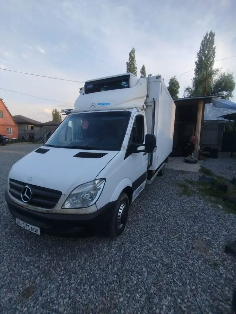 Срочно.Срочно.Срочно.Рефрижераторный фургон на базе Mercedes-Benz — фото 4