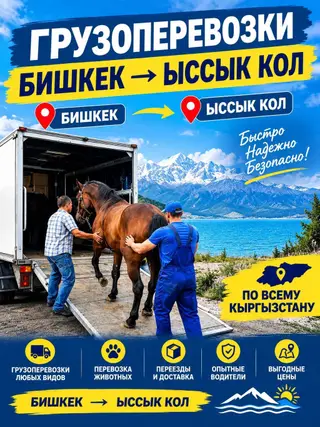 Портер такси Портер такси Портер такси Портер такси Портер такси