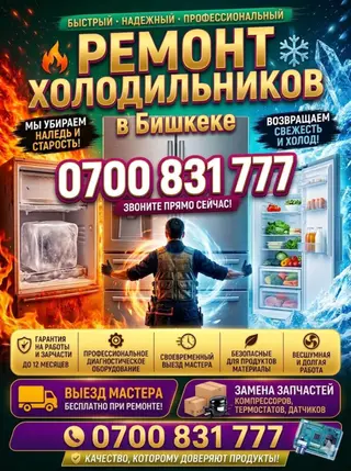 Бишкек Здравствуйте! Меня зовут Роман я частный мастер по ремонту