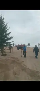 Профессиональная посадка и озеленение хвойными растениями план