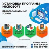 Профессиональная установка программ Microsoft и сопутствующие услуги