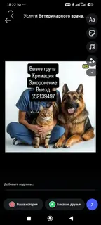 Ветеринарные ритуальные услуги для домашних животных.