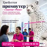 Промоутер в аэропорт «Манас» на ночь