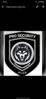 Профессиональные услуги охраны PRO SECURITY PLUS нужны сотрудники