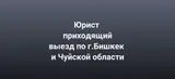 Юрист осущесталяет выезд, консультирует, представляет интересы