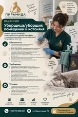 Уборщик, Медицинский центр